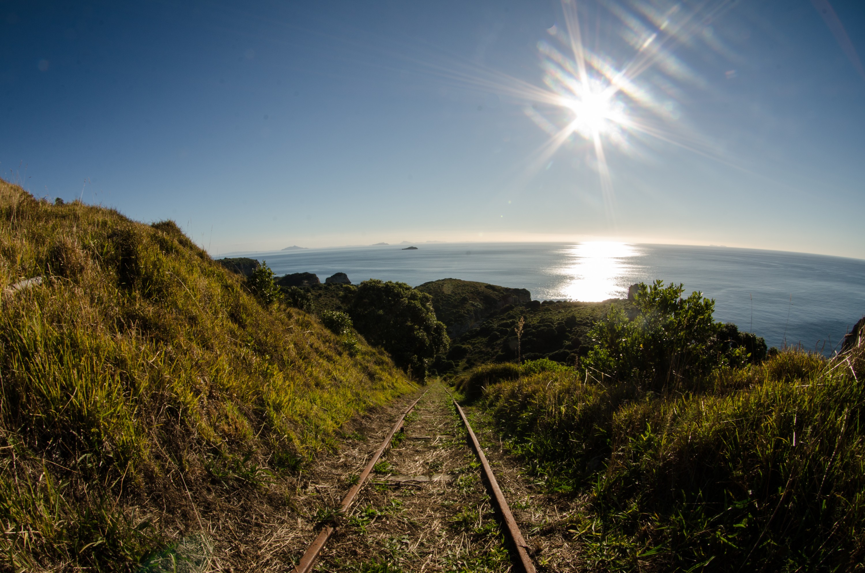 DSC_4863 – Mokohinau, Islands, Burgess, Island, crispin, nz, new, zealand, new zealand